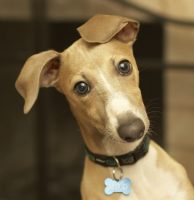 grey_logo.jpg grey_logo.jpg